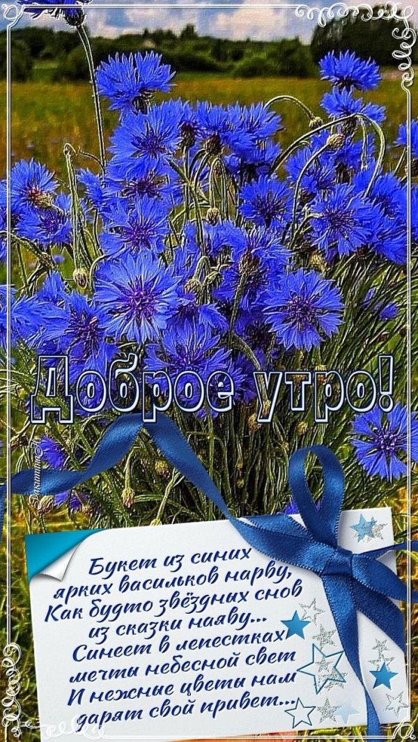 васильковое лето