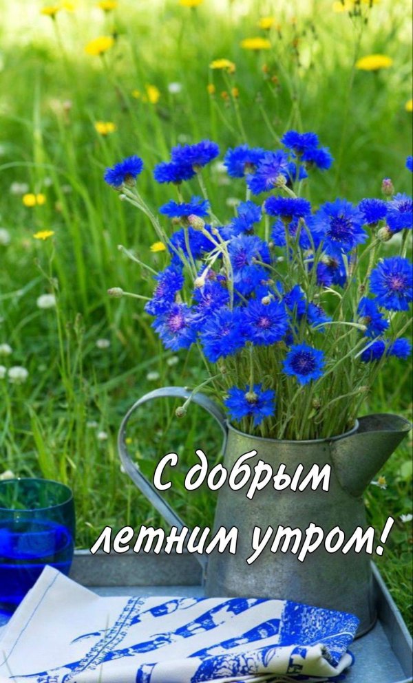 с добрым утром августа