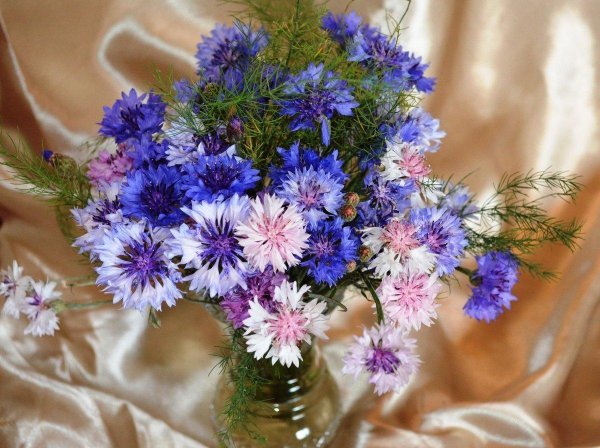 букет из васильков