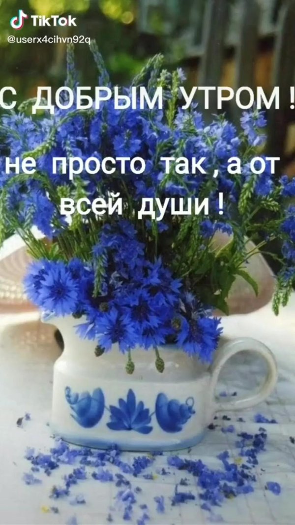 доброе утро с васильками