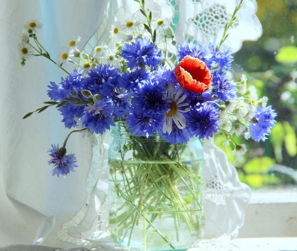 букеты полевых васильков ромашек маков
