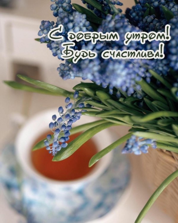 славного утра