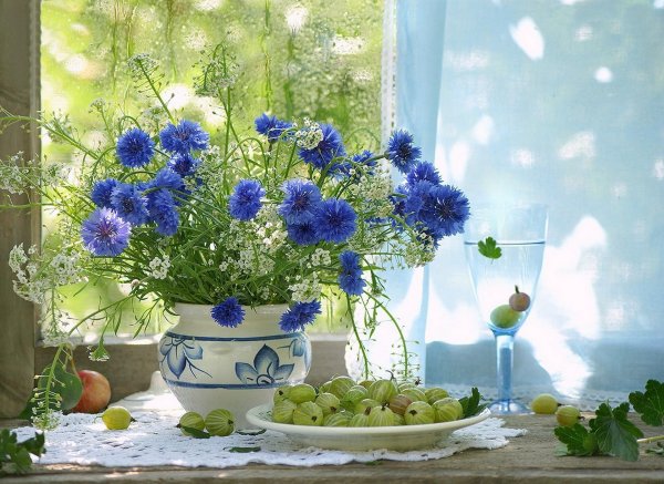 цветы на окне