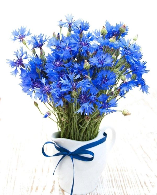 эмменеггер букет васильков