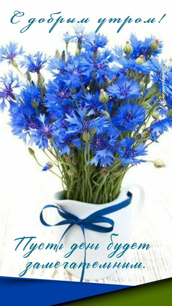 открытка с васильками