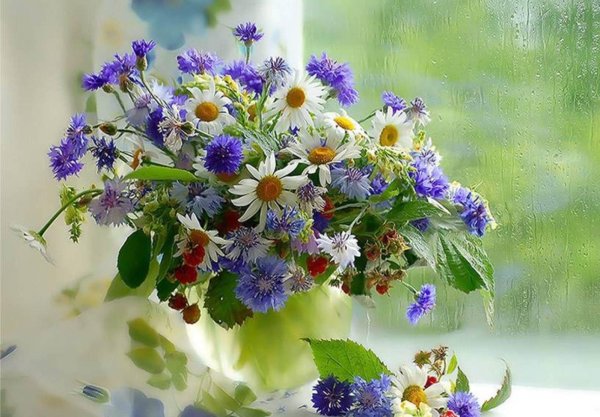 полевой цветок