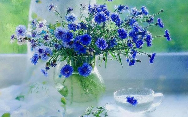 доброго утра полевые цветы