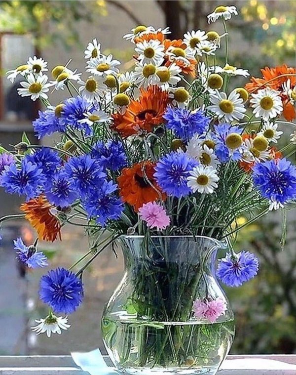 цветок полевой