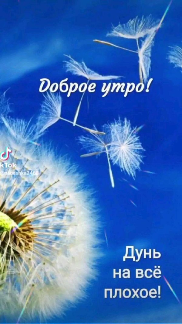 доброго утра мирного неба