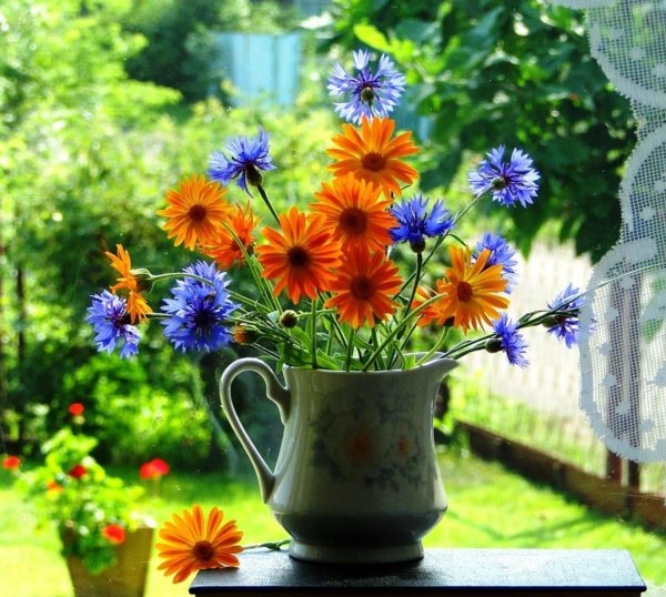 букет полевых цветов