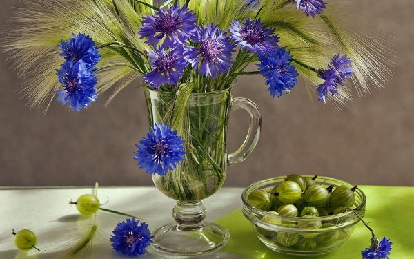 красивый букет васильков