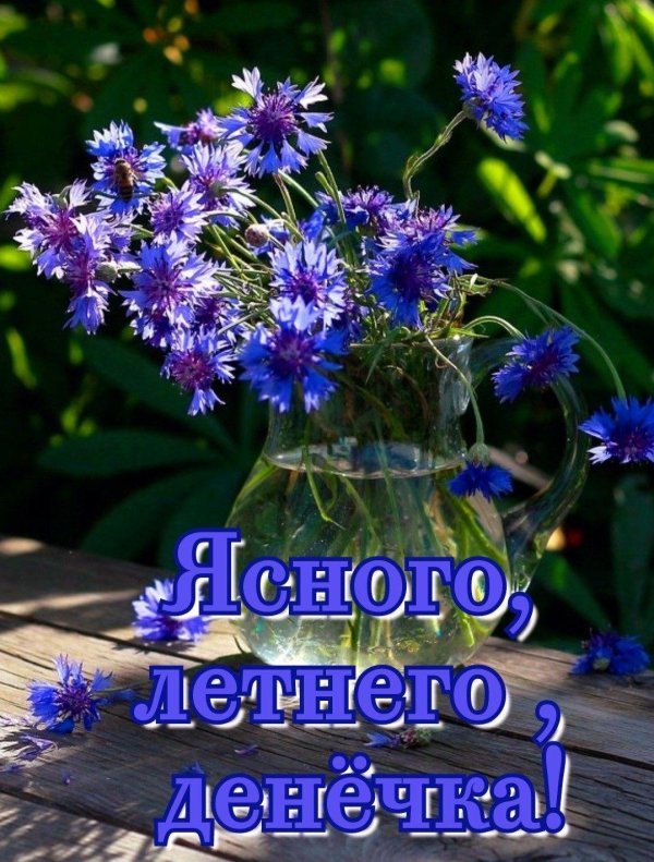 васильковое настроение