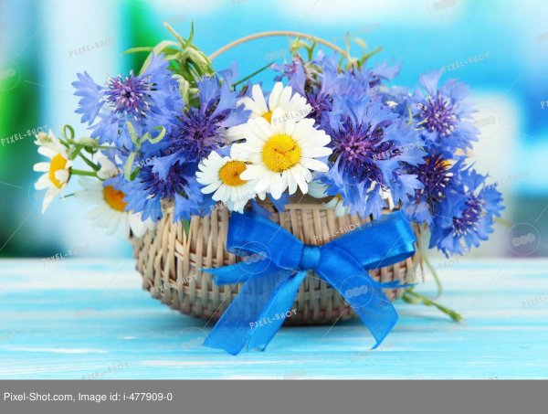 букет васильков