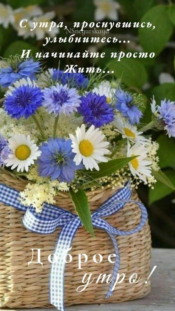 доброе августовское утро