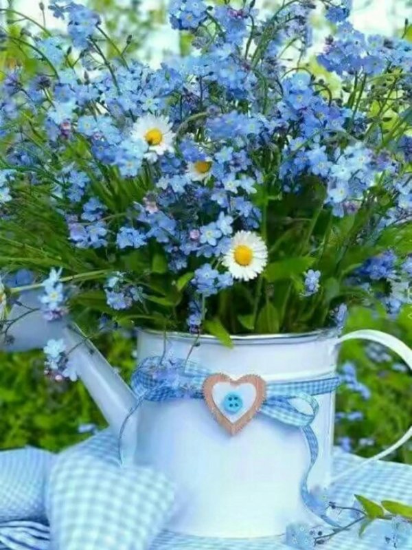 доброемутро незабудки