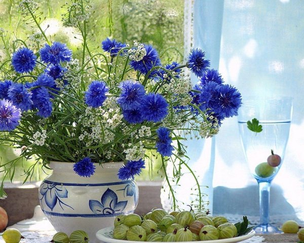 полевые цветы на окне