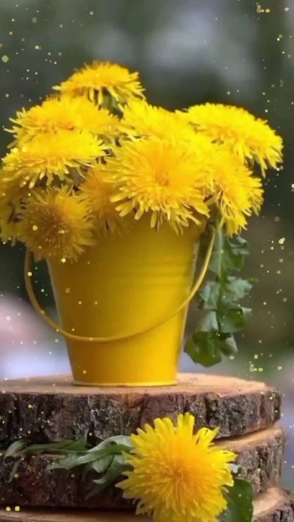 Доброе утро с одуванчиками необычные