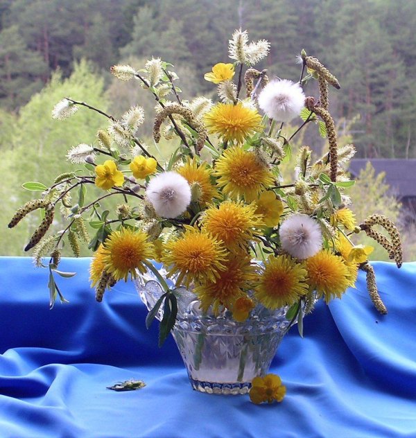 красивые букеты из одуванчиков