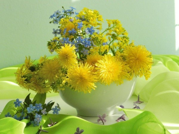 ольга базанова одуванчики