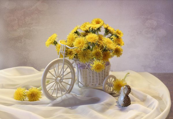 желтые одуванчики