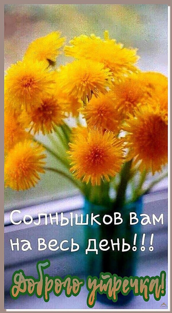 доброго солнечного утра