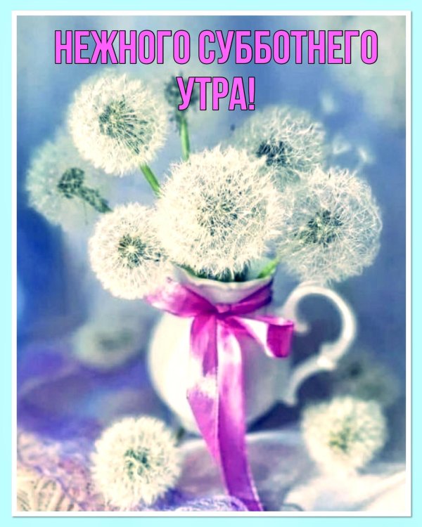 букет одуванчиков