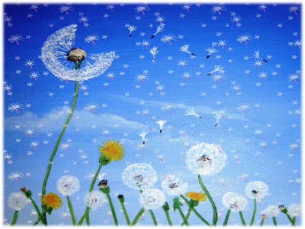 одуванчики рисунки
