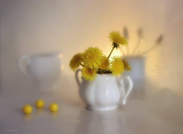 натюрморт с желтыми цветами