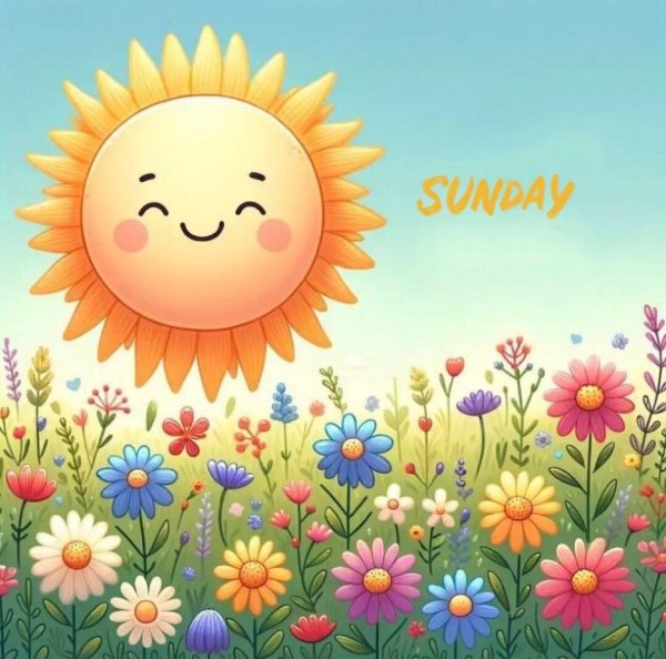 guten morgen sonnenschein