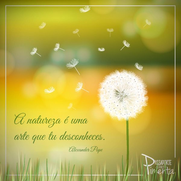 фон одуванчики