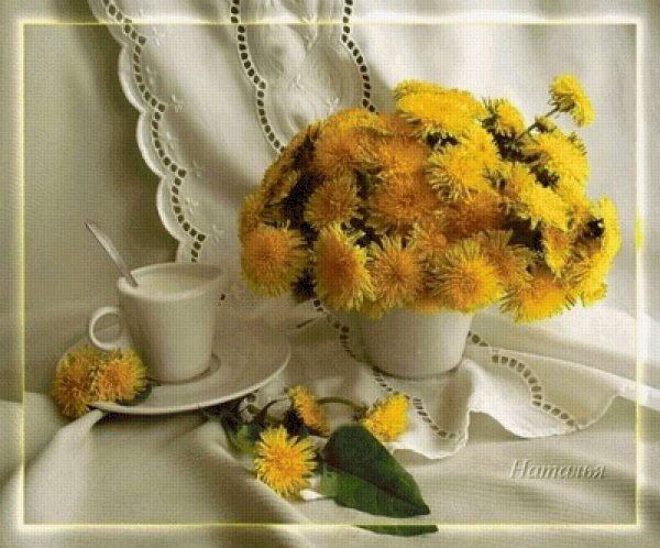 букет одуванчиков