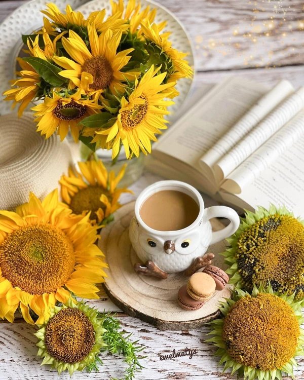 доброе августовское утречко