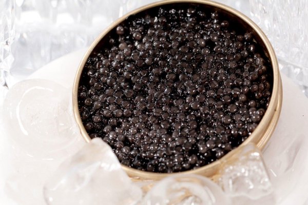 sturgeon caviar