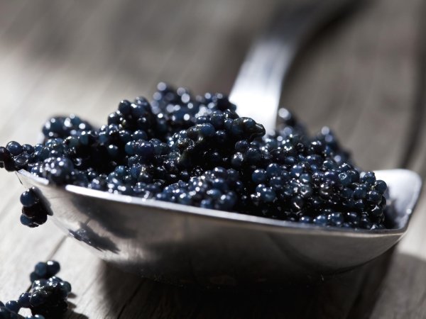 икра осетровая