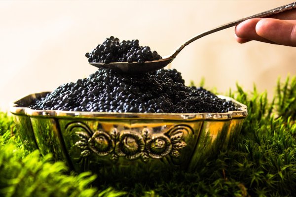 банка черной икры