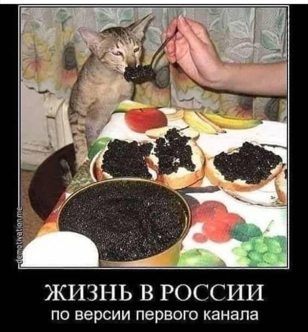 1 января демотиваторы