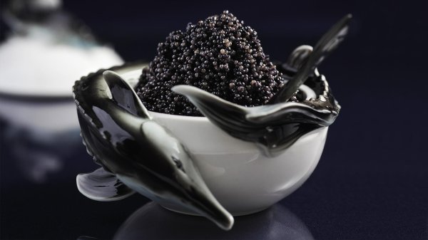 черная икра