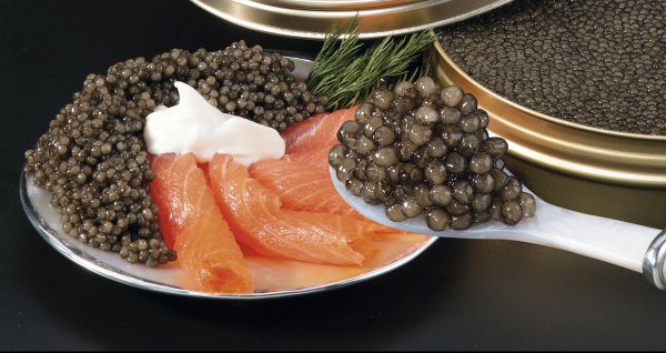 caviar икра
