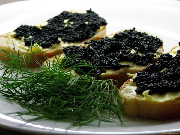 бутерброды с икрой палтуса