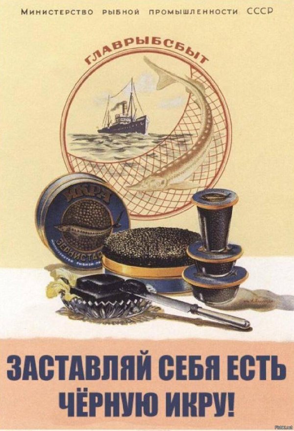 заставляй себя есть черную икру
