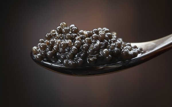 beluga caviar
