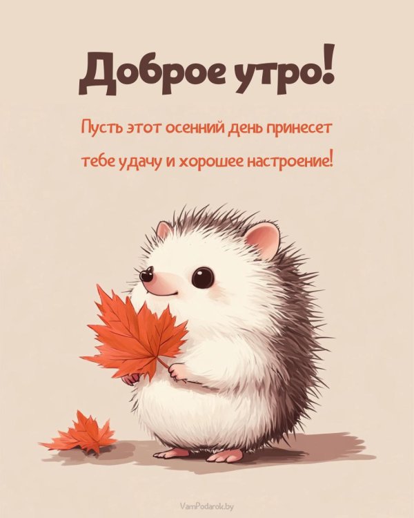 доброе осеннее утро и хорошего дня прикольные
