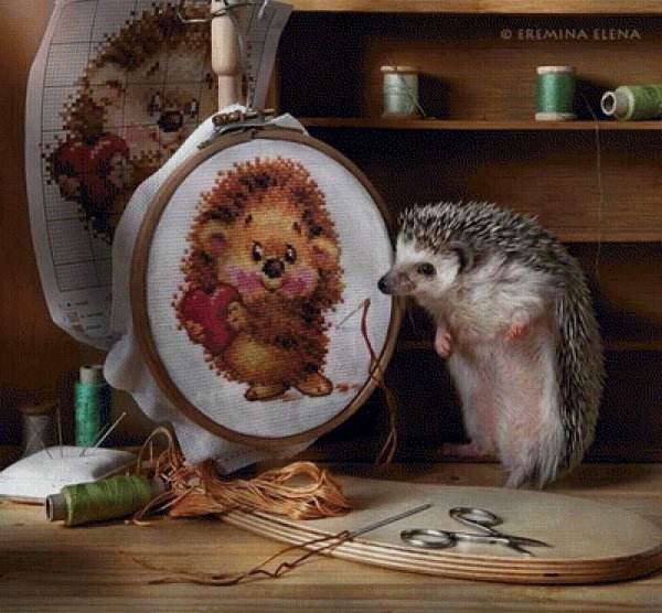 риолис ежики в бруснике