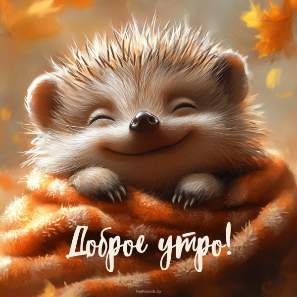 доброго утра осеннего