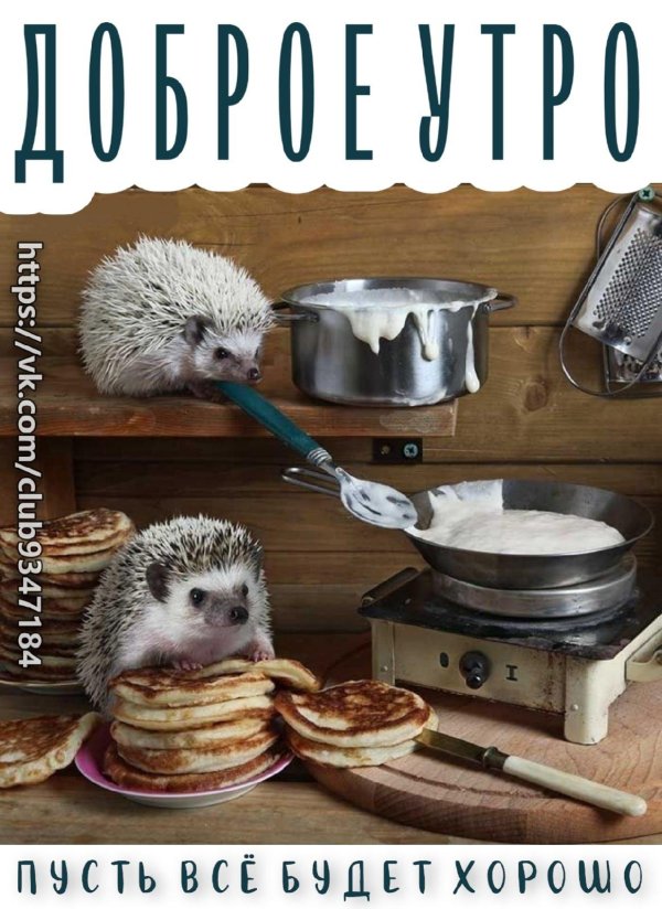 елена еремина ежики 2018