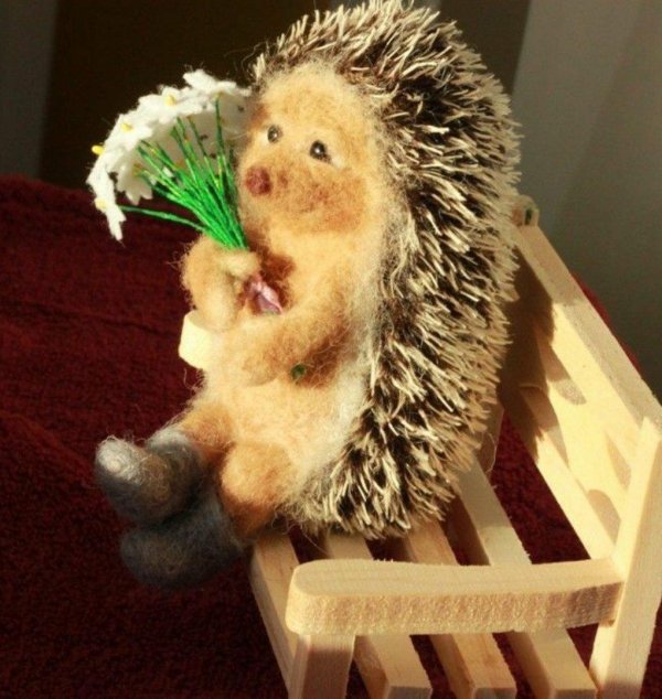 забавные ежики