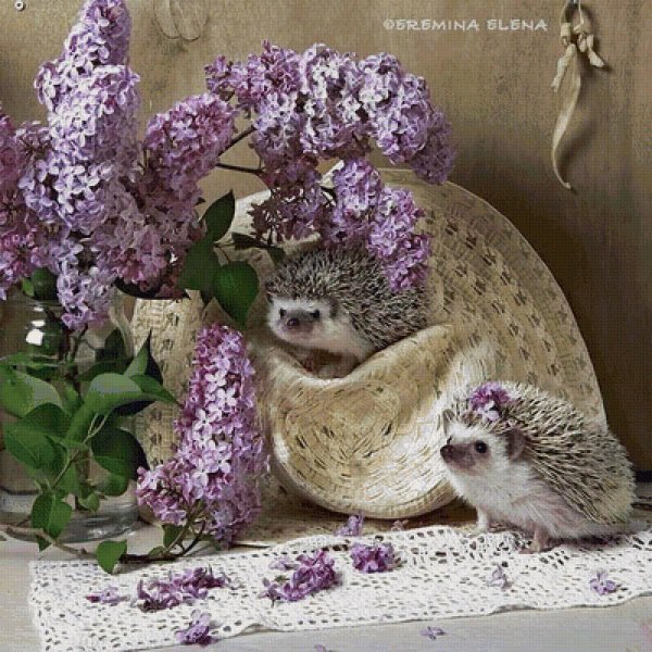 eremina elena ежики