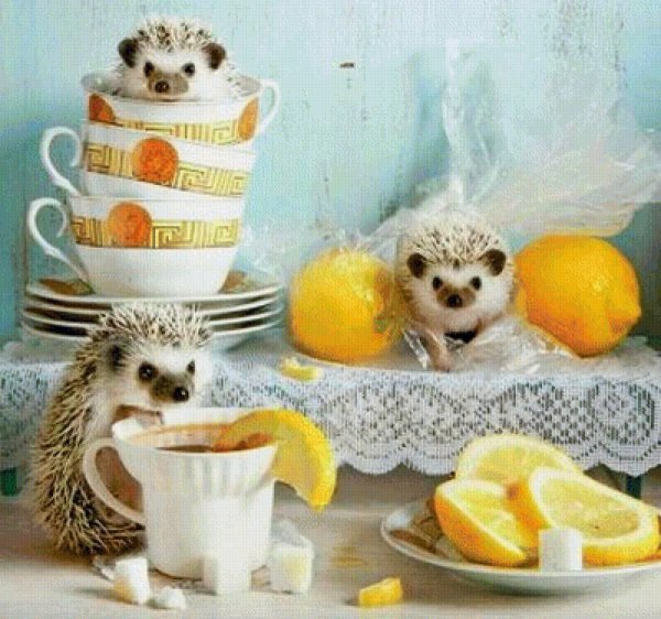 ёжики елены ерёминой