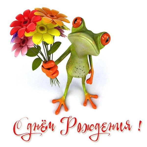 прикольные цветы