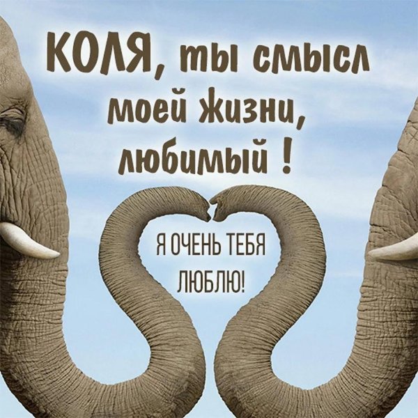 хобот слона